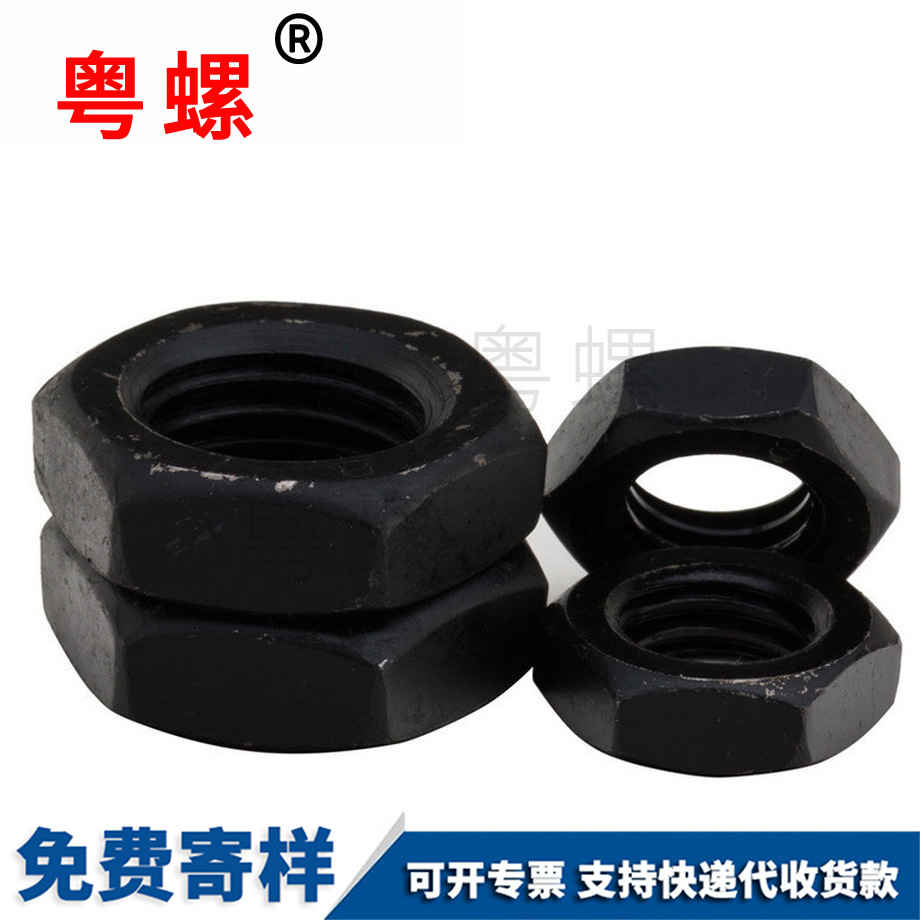 粵螺批發8.8級 粵螺批發8.8級