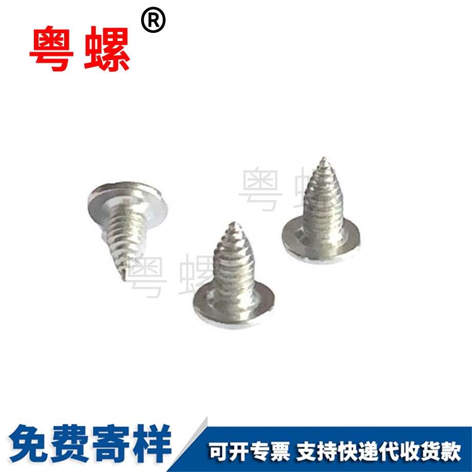 非標(biāo)螺絲 非標(biāo)螺絲