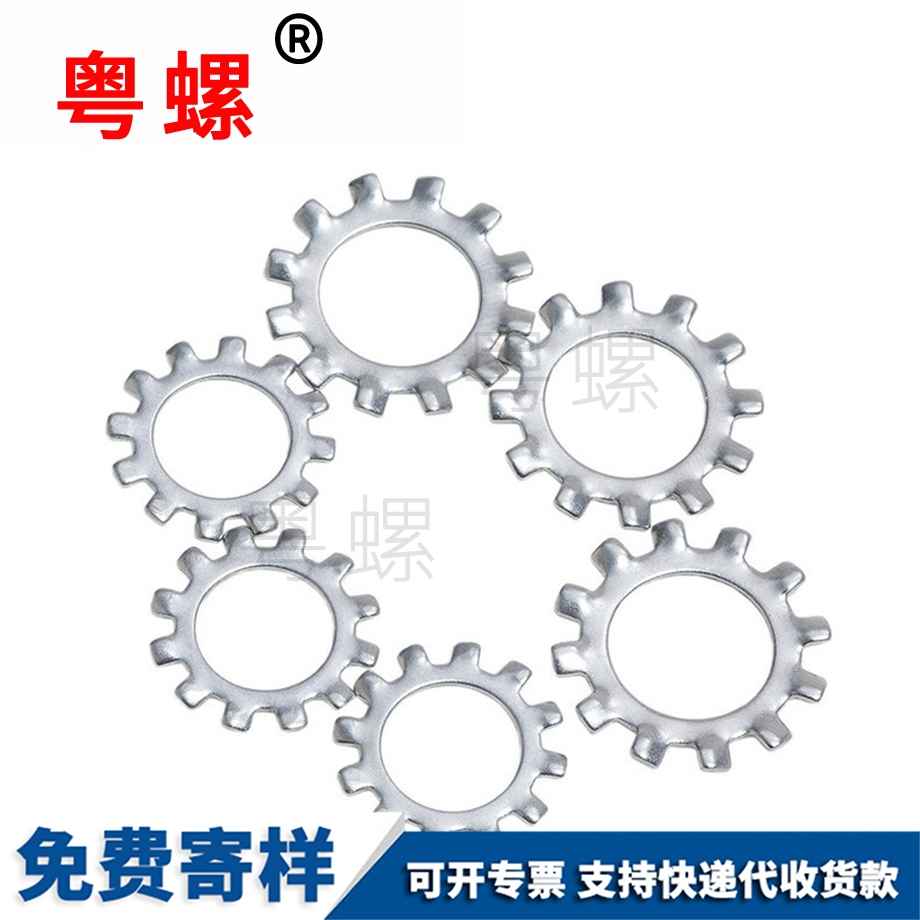 拉薩內多齒墊圈 拉薩內多齒墊圈