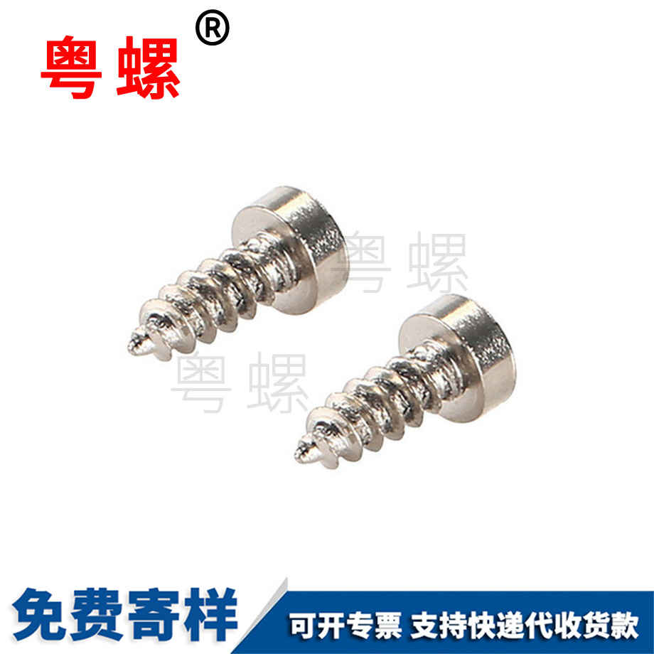 秦皇島大扁頭秦皇島鉆尾螺絲 秦皇島大扁頭秦皇島鉆尾螺絲