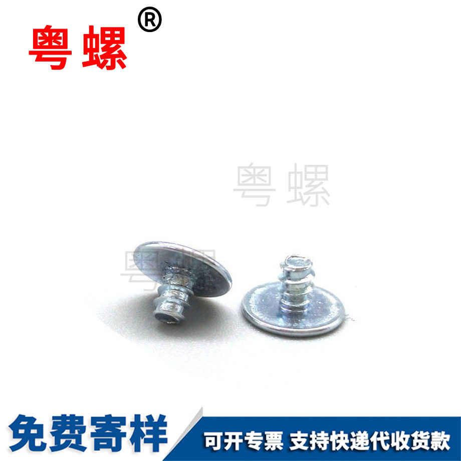 非標電子螺絲