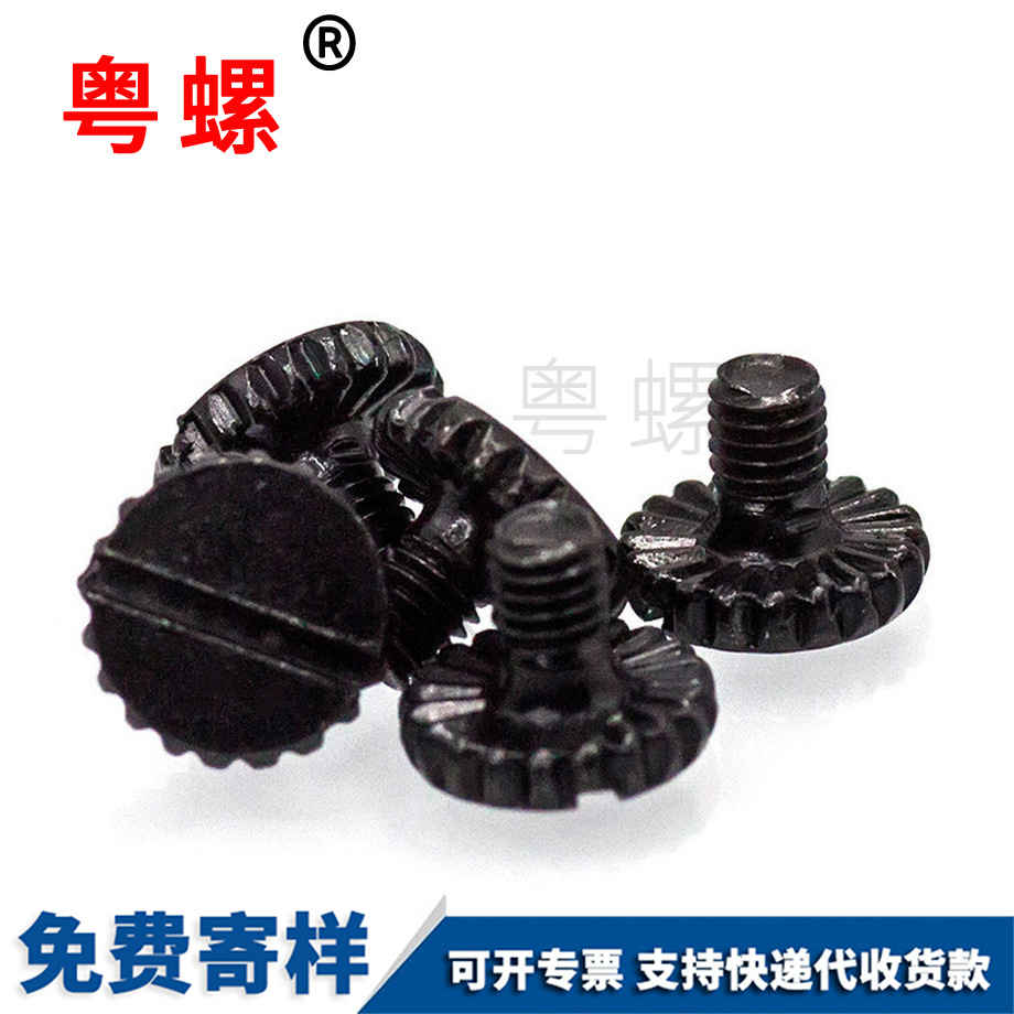 定制黑色邯鄲一字槽螺絲
