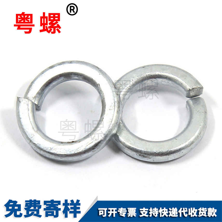 熱鍍鋅拉薩彈墊圈