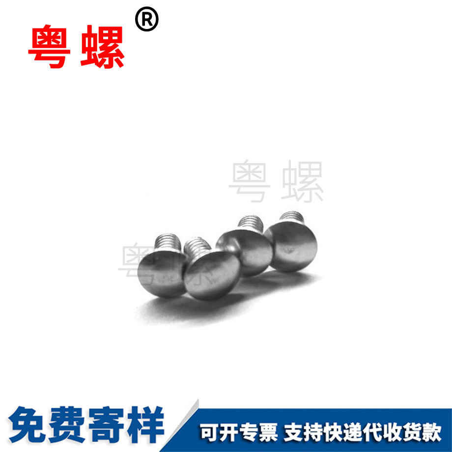 非標(biāo)螺絲 非標(biāo)螺絲