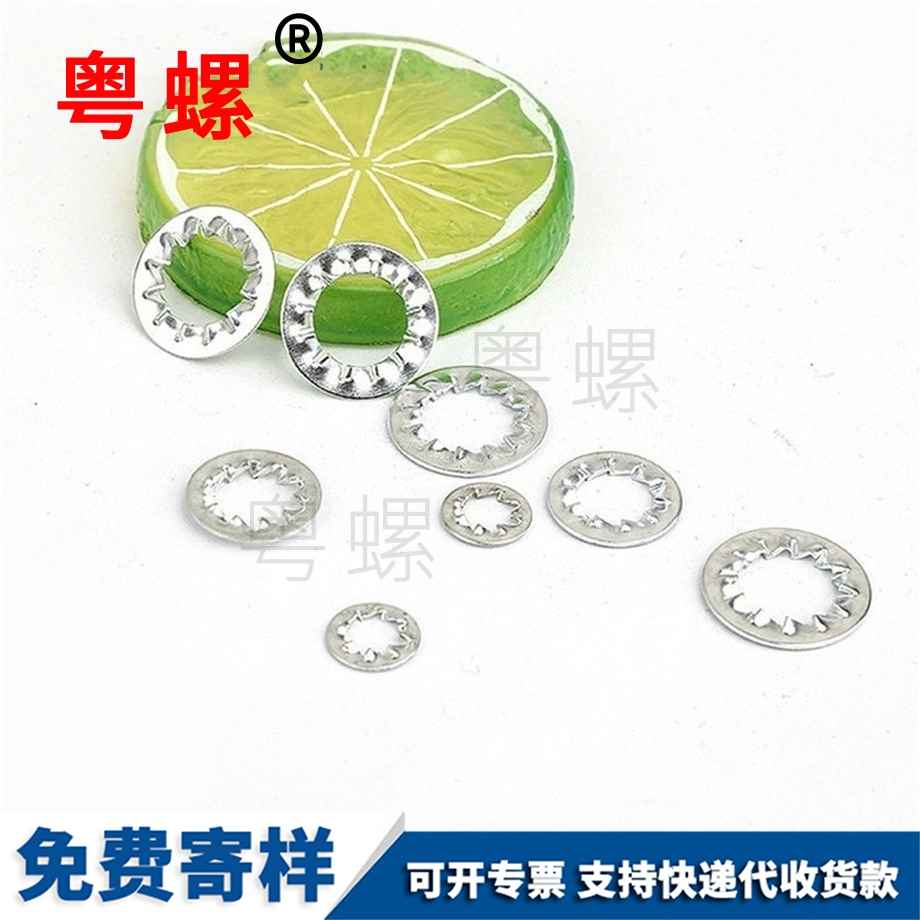 內多齒拉薩止動墊圈