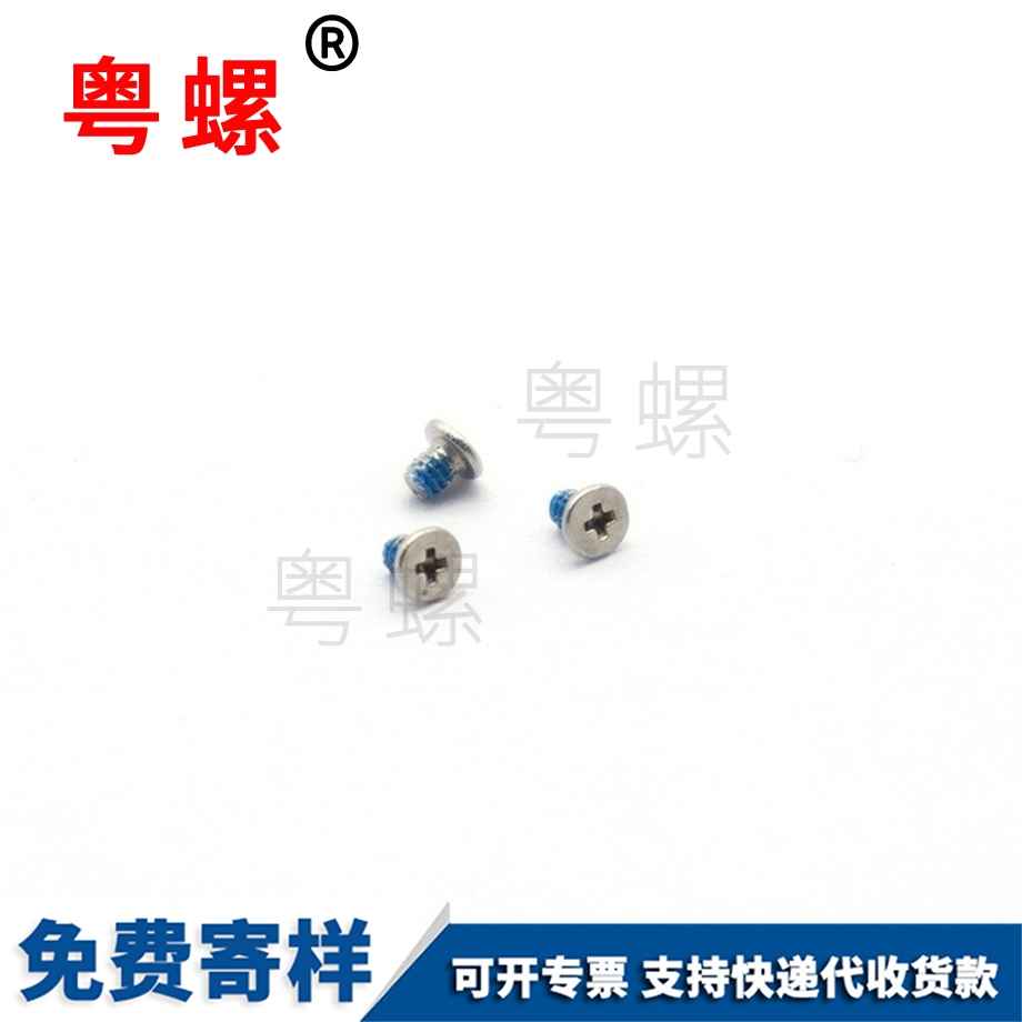 不銹鋼西雙版納電子螺絲