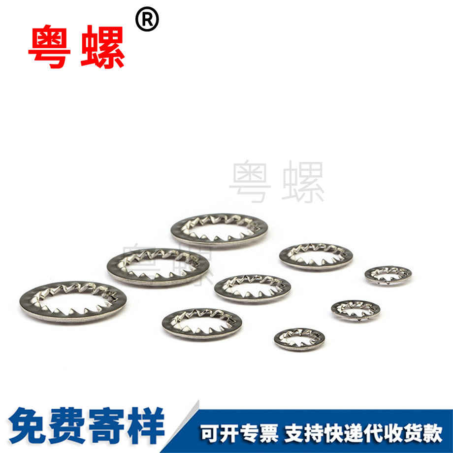 拉薩鎖緊墊圈 拉薩鎖緊墊圈