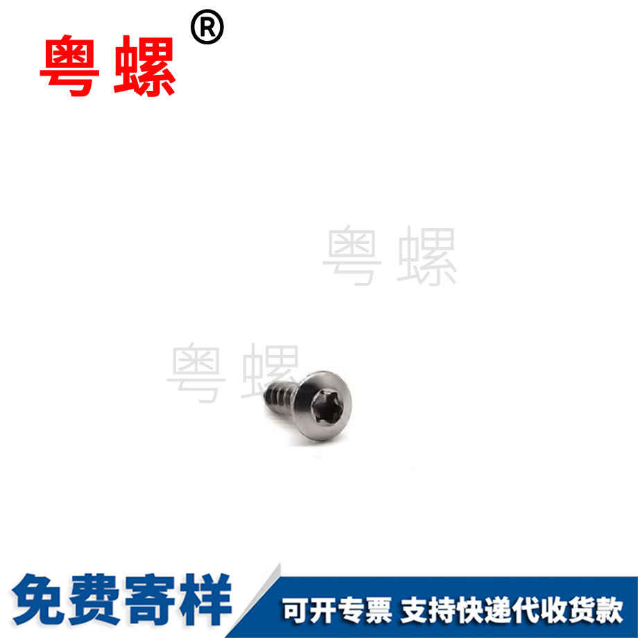 定制梅花穴秦皇島自攻螺釘