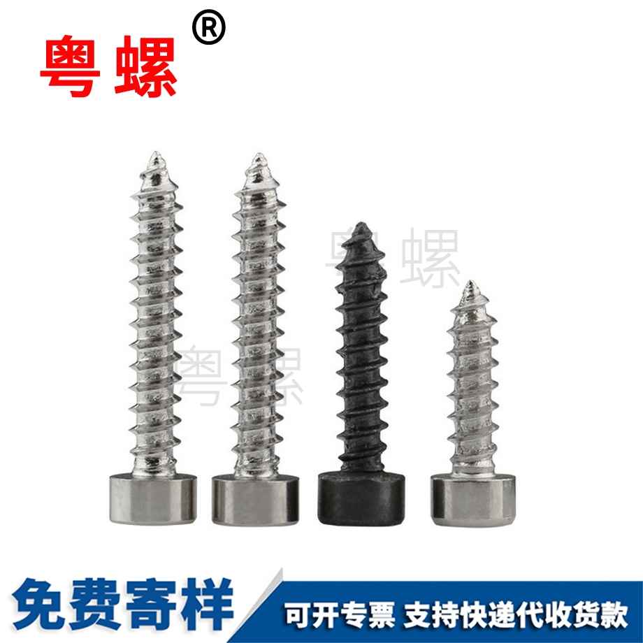 訂制模型大理自攻螺絲