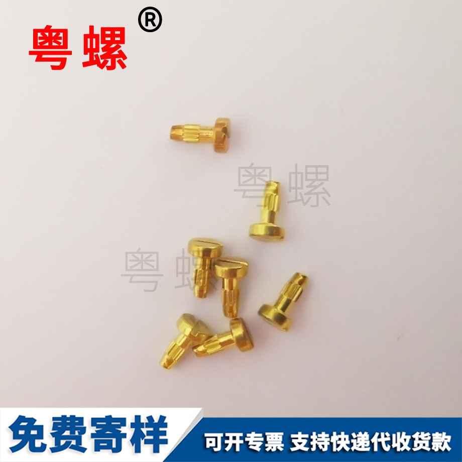 供應鐘表螺絲釘 供應鐘表螺絲釘