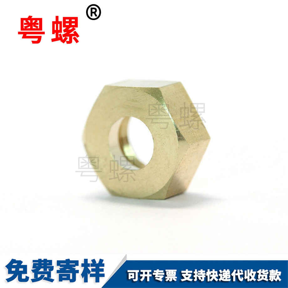 智能家用拖地機中山六角中山銅螺母