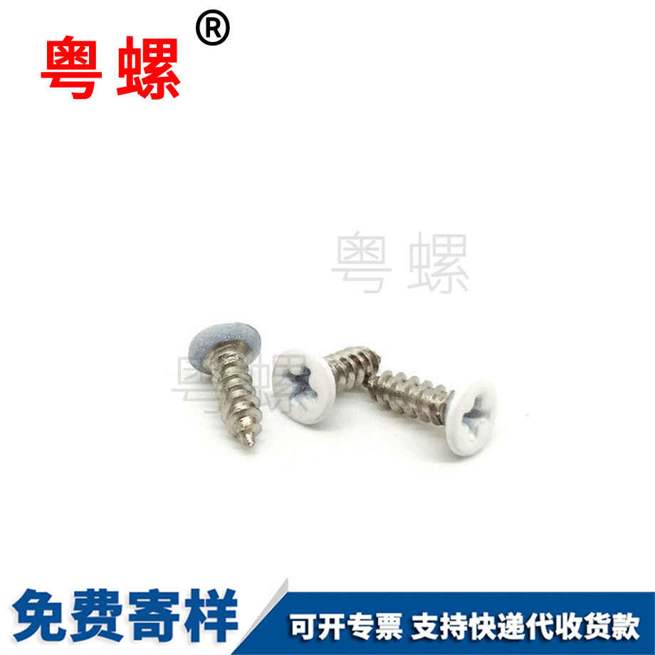 廊坊廊坊沉頭廊坊自攻螺絲 廊坊廊坊沉頭廊坊自攻螺絲