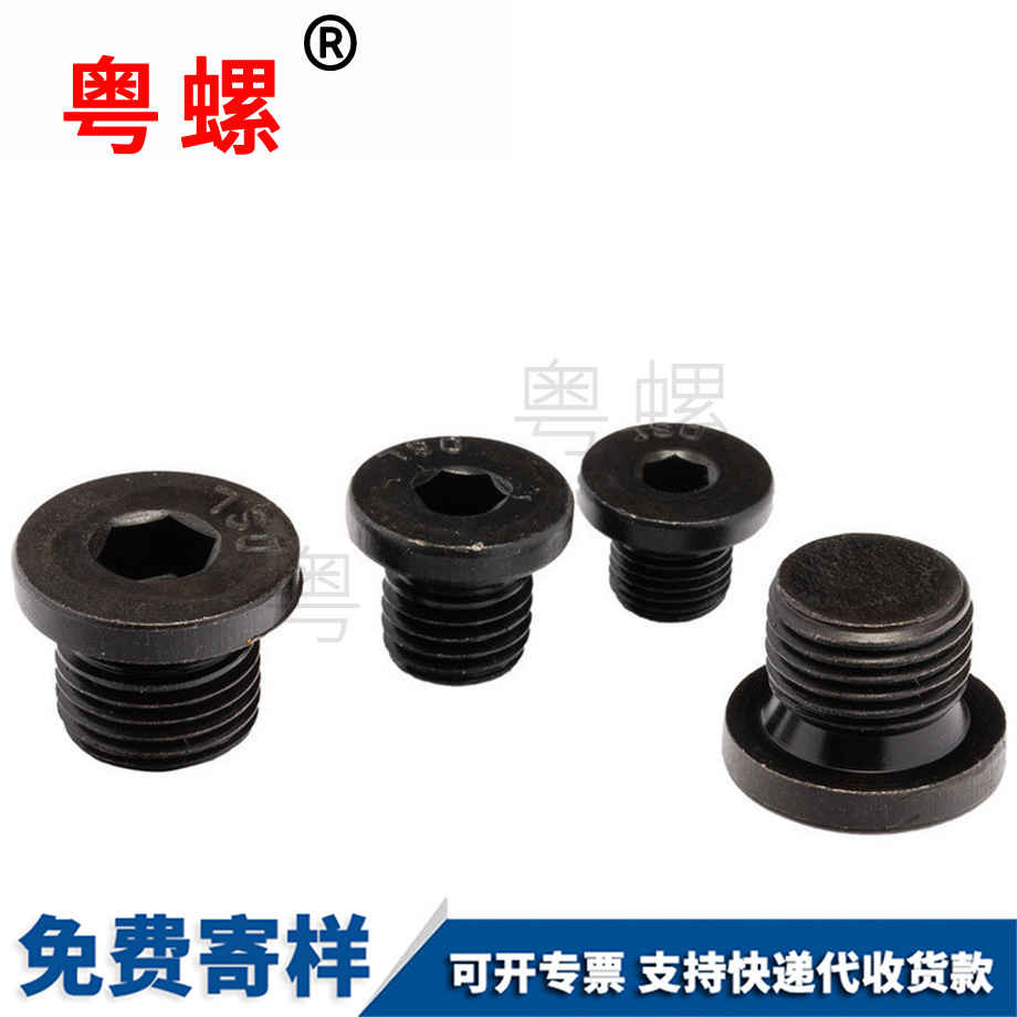 訂制內六角法蘭面堵頭