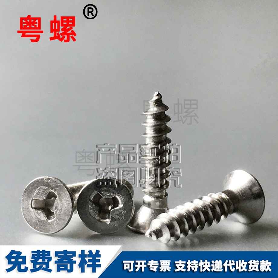 平頭西雙版納自攻釘 平頭西雙版納自攻釘