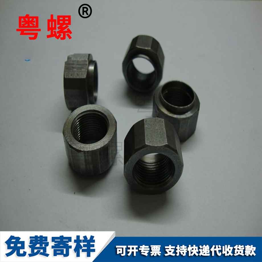 昌都非標六角昌都不銹鋼螺母