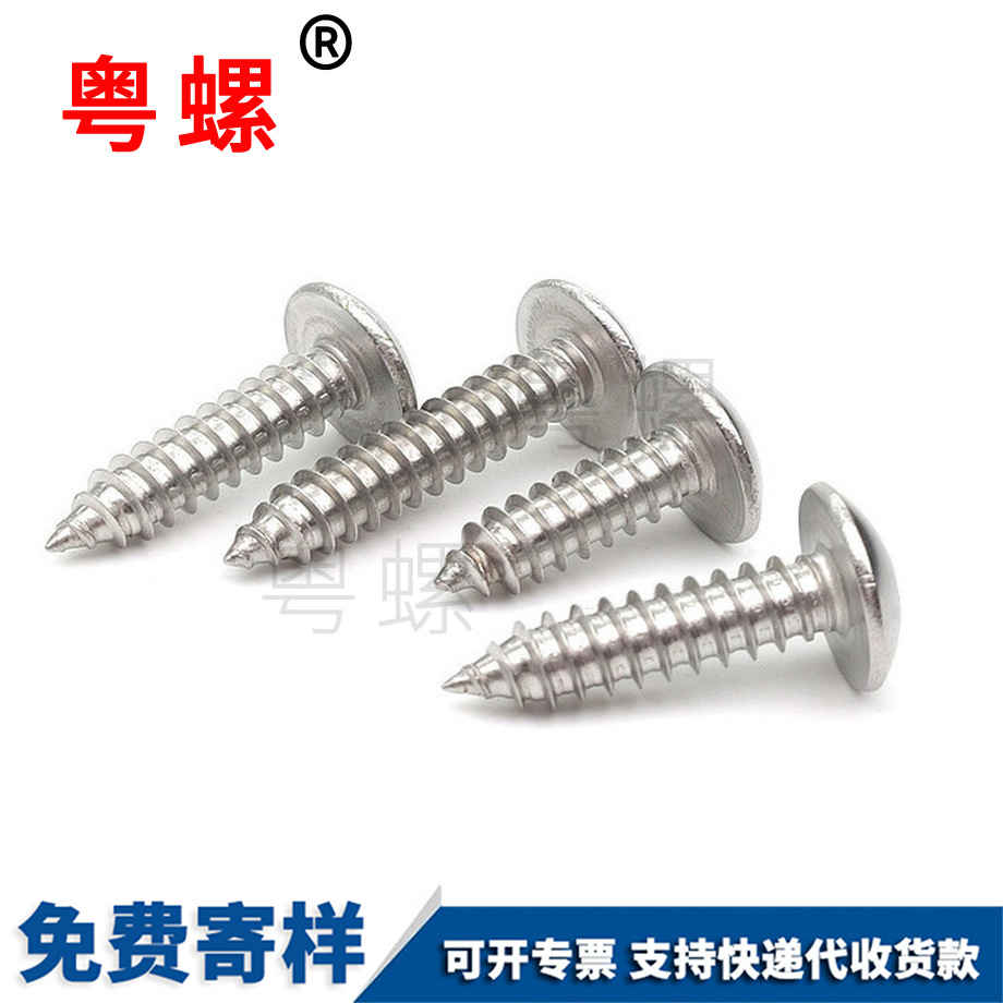 大扁頭自攻螺絲釘 大扁頭自攻螺絲釘