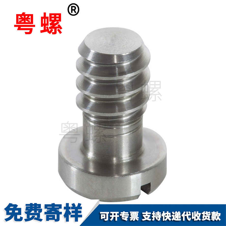 梅花非標(biāo)螺絲 梅花非標(biāo)螺絲