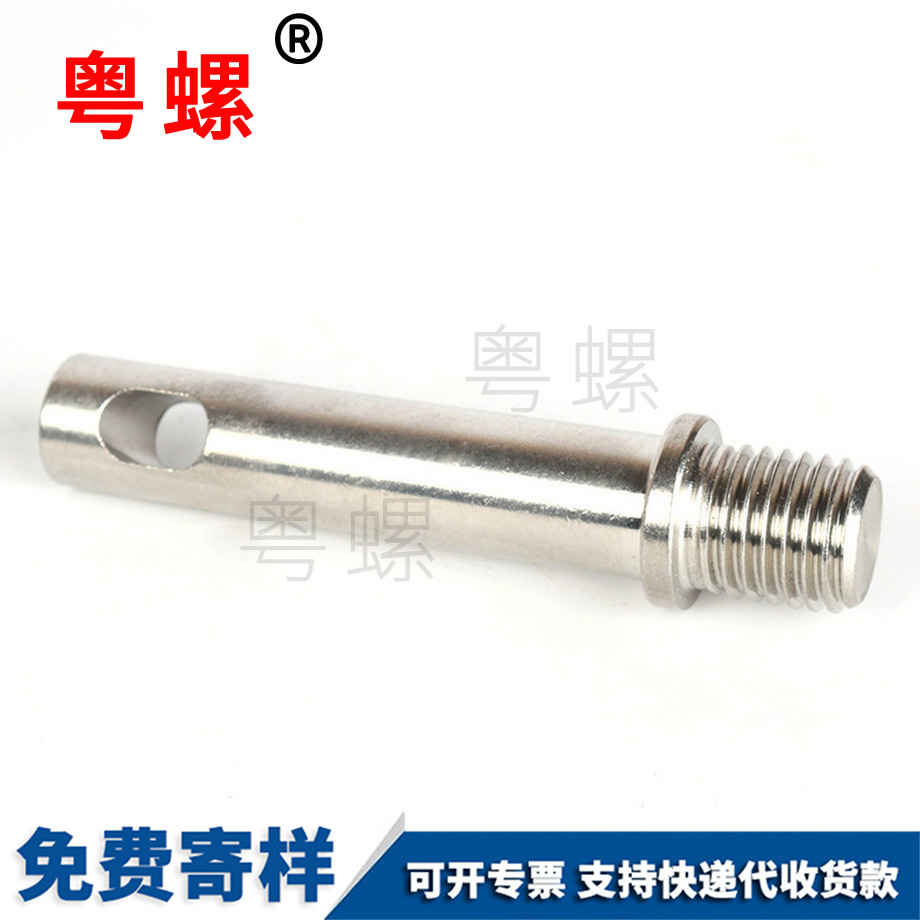 拉薩帶孔異型螺絲