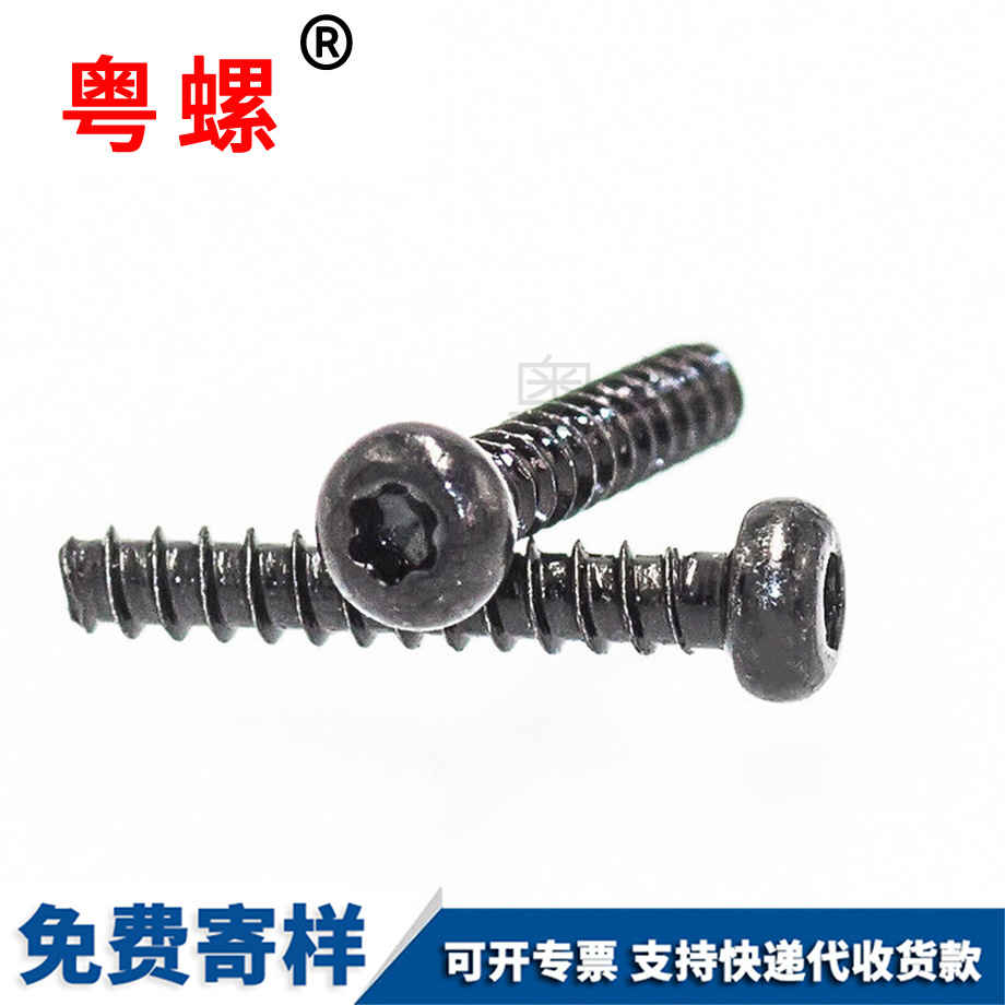 訂制內梅花青島自攻螺絲