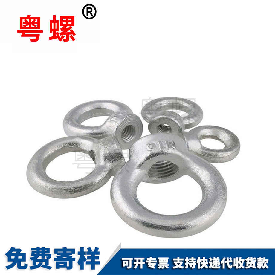 西雙版納吊環螺母