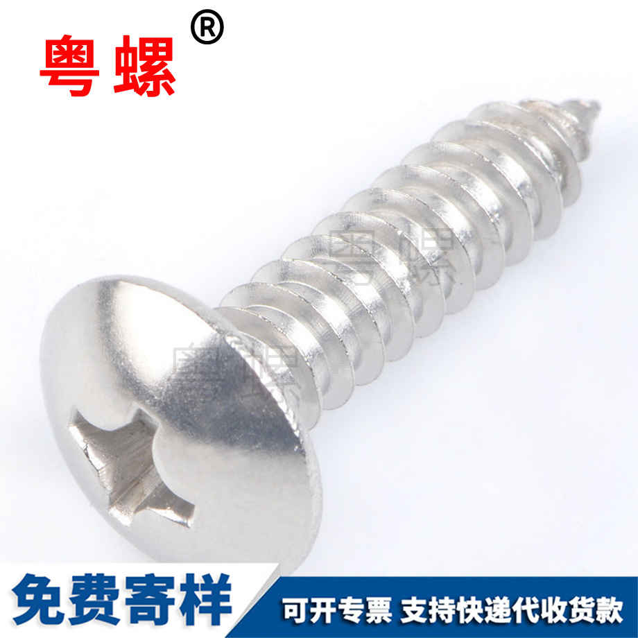 錦州錦州大扁頭錦州自攻螺絲 錦州錦州大扁頭錦州自攻螺絲